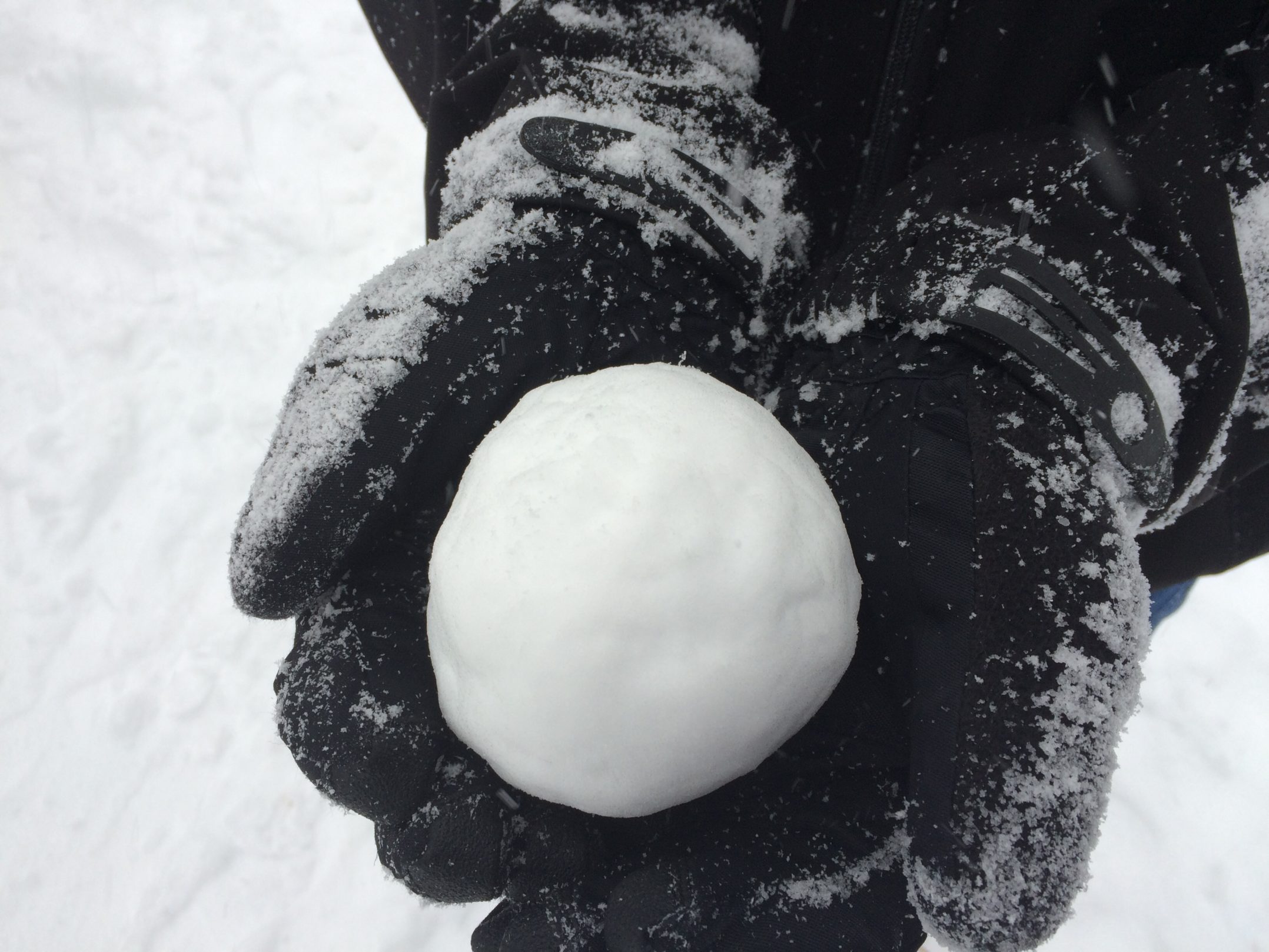 Alex Zulauf's (sophomore) perfect snowball (2)