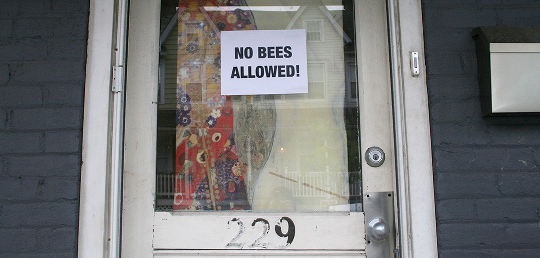 Lehigh residents bugged by insect invasion