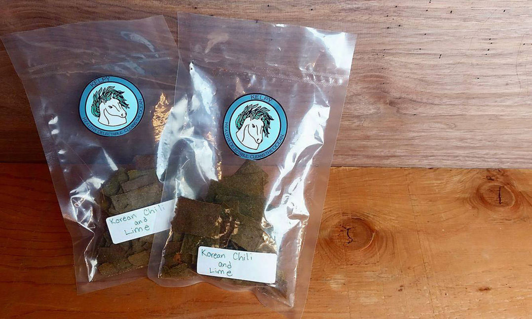Student-run Kelpÿ company to enter into partnership with distributors