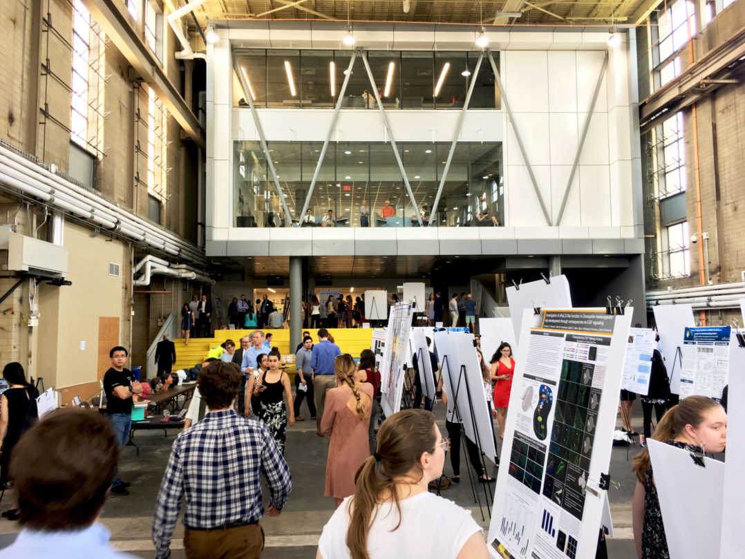 Projects, People, Purpose: Lehigh Expo and Candidates’ Day combine to benefit prospective students