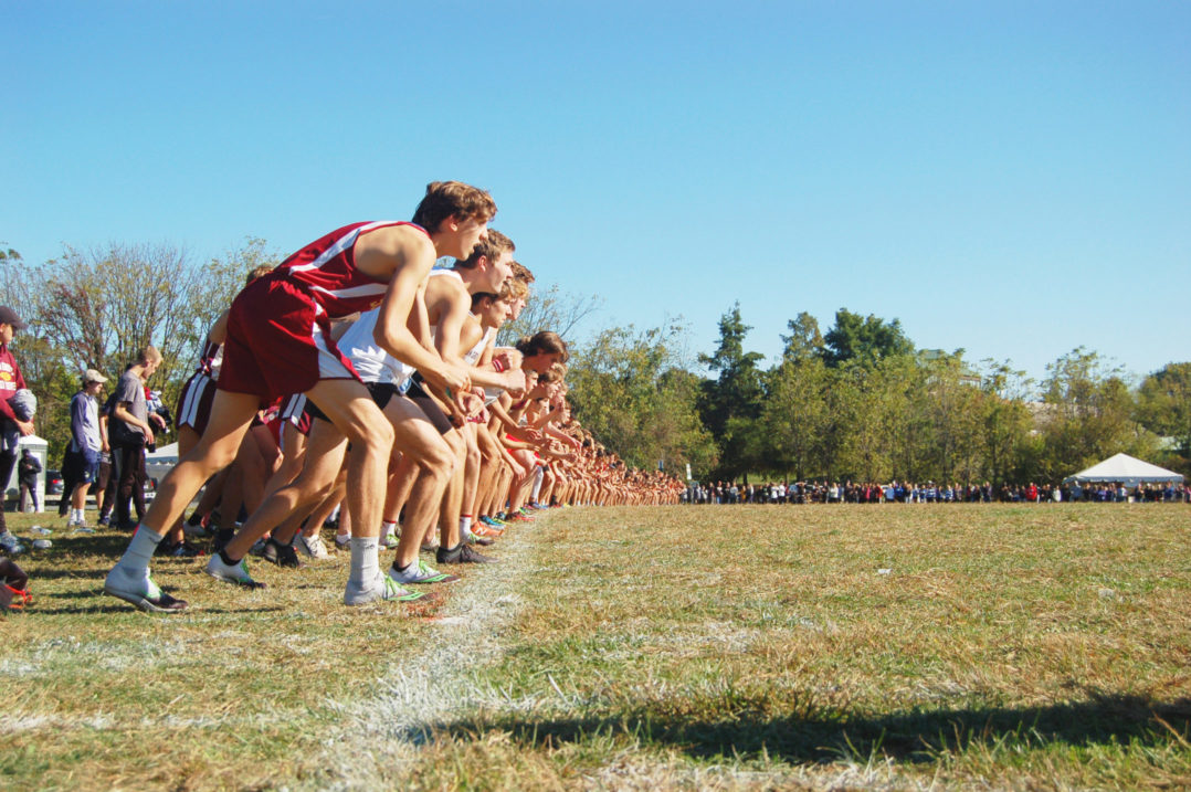 Lehigh cross country falls behind competition Paul Short Run The
