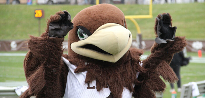 From Engineers to Mountain Hawks - The Brown and White