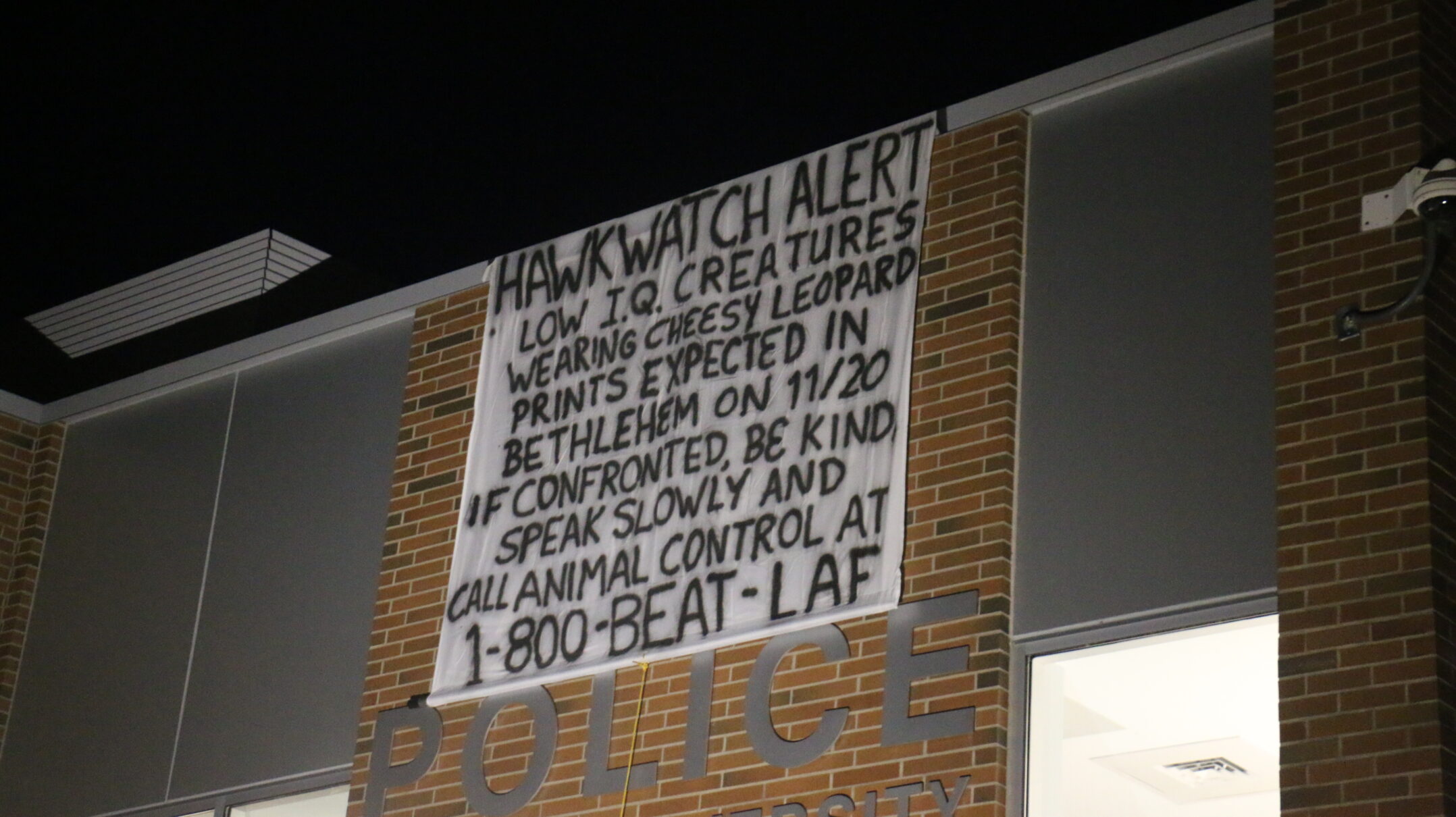 IN PICTURES: Le-Laf spirit week banners - The Brown and White