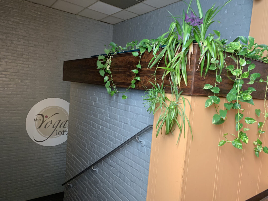 The Yoga Loft promotes inclusivity through community classes