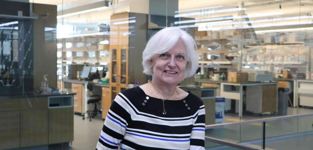 Chemical engineering professor receives John Prausnitz Lecturer Award
