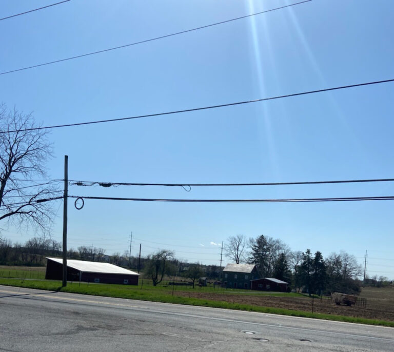 Miller Farm's fate points to worry for future farms The Brown and White