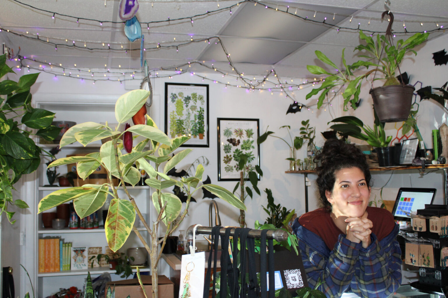 The Wicked Botanist holds plant festival The Brown and White