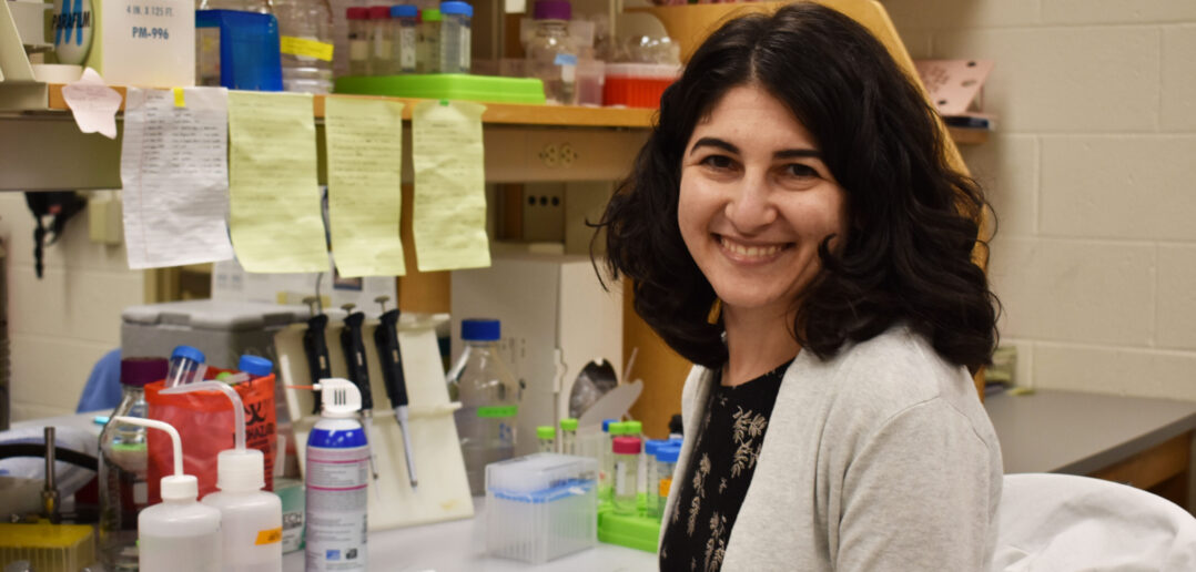 Chemistry professor wins $1.9 million grant