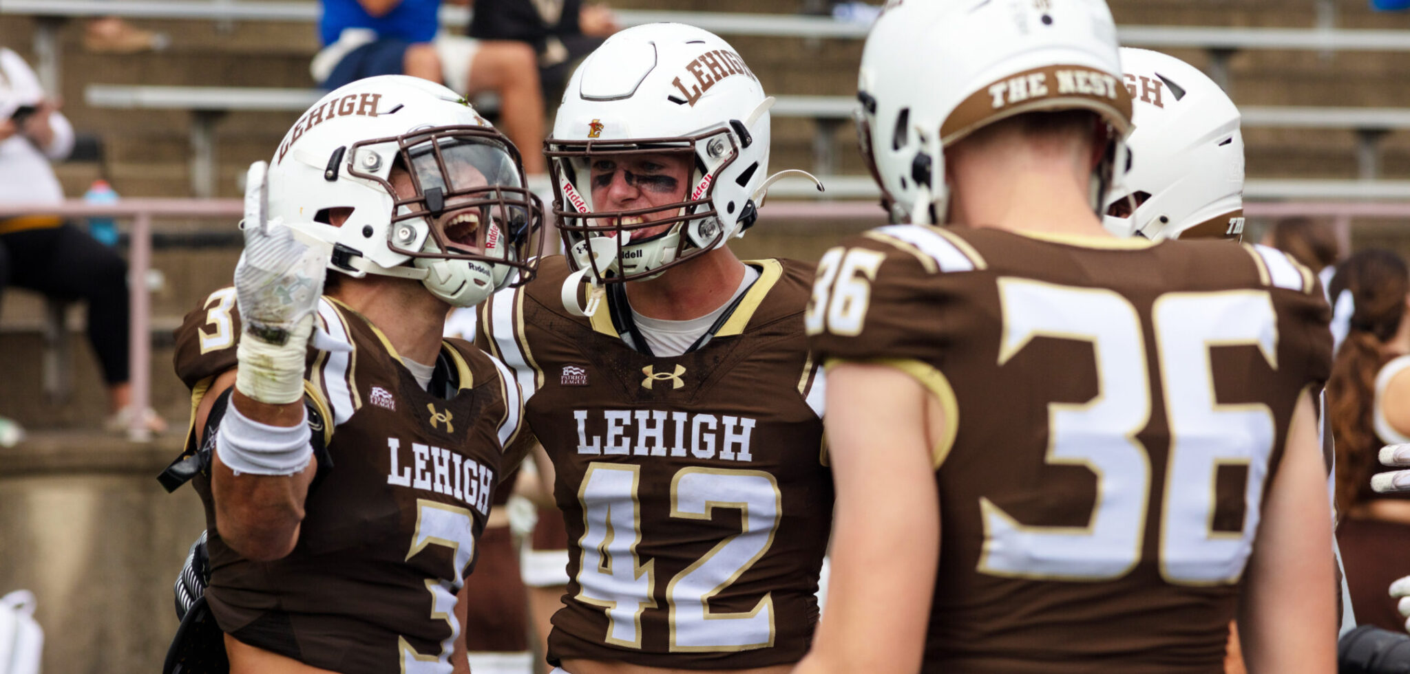Brown And White Lehigh