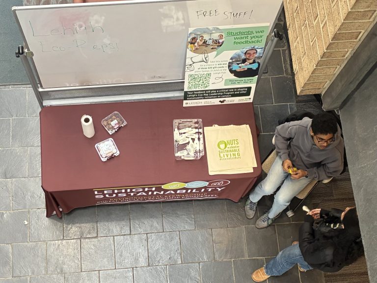 Eco-Rep Leadership Program works to return to campus