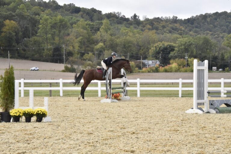Eliza Taub leads Lehigh’s club equestrian team