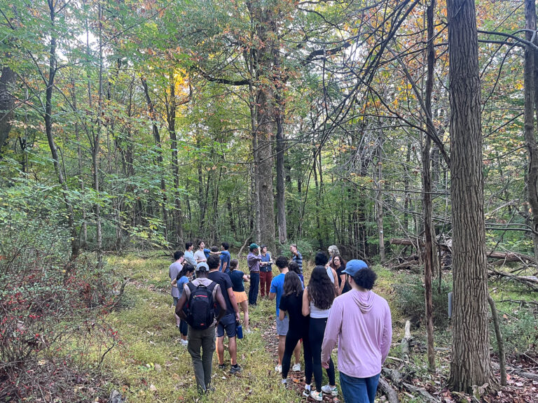 Visiting professor Shay Rabineau guides hike through South Mountain